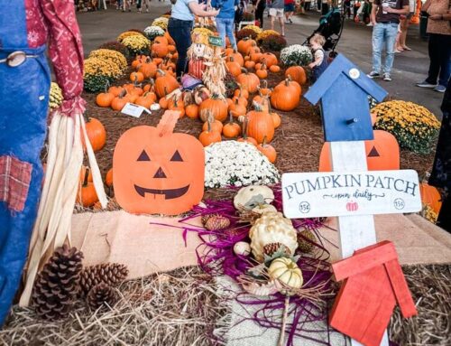 25th Annual Pumpkin Patch