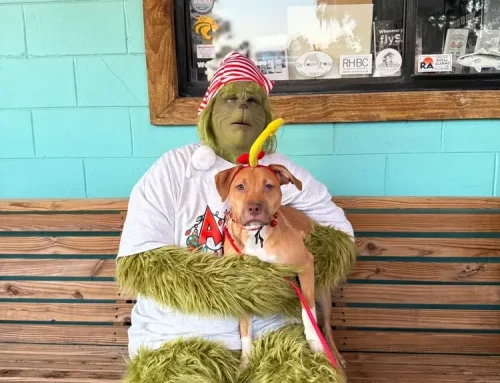 Howl-O-Ween Yappy Hour at Fish Tales