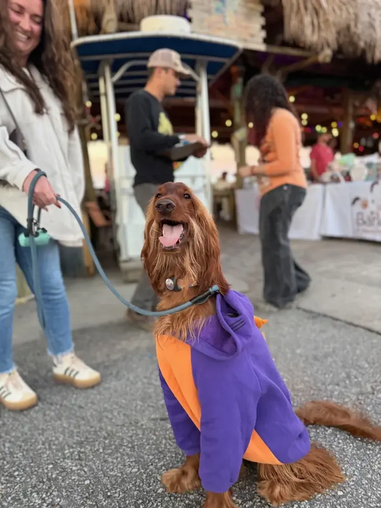 Howl-O-Ween Yappy Hour 2026 at Fish Tales, Richmond Hill Howl-O-Ween Yappy Hour 2026 at Fish Tales, Richmond Hill